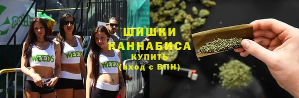 дурь Алзамай
