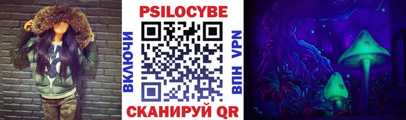 Псилоцибиновые грибы Psilocybe  хочу наркоту  нарко площадка телеграм  Шадринск 